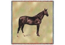Anglo Arabian Lap Square