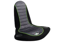 Stingray BoomChair