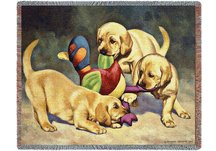 I've Got It Throw Blanket