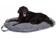 Folding Travel Pet Bed