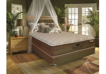 Nature's Rest mattress