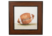 football framed picture