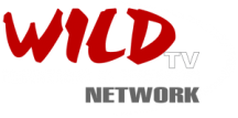 Wild TV