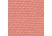 6423 Coral