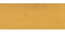 895Canary.jpg