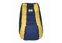 Michigan Wolverines Video Bag