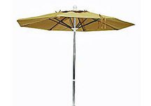 Market Umbrella