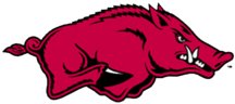 arkansas razorbacks souvenirs