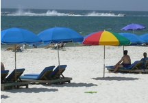 Beach Umbrella