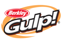 Berkley Big Fish Logo