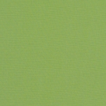 Sunbrella Canvas Gingko Fabric