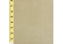 Chamois