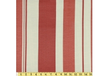 Coral Stripe