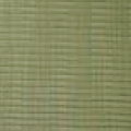 Dupione Kiwi