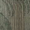 Fern Dance