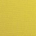 Lemon Yellow