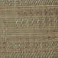 Madras Thyme
