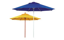 Market Umbrella