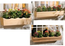 Nantucket Window Boxes
