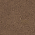 Sahara