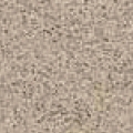 Speckled Pearl