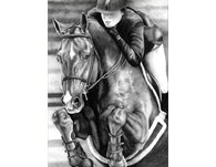 equestrian note cards, hunter jumper note cards, equestrian accessories, fine art note cards