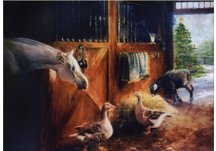 equestrian note cards, equestrian accessories, fine note cards, horse