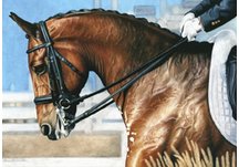 equestrian note cards, fine note cards, equestrian art, dressage note cards
