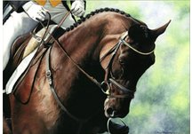 equestrian art, equestrian note cards, dressage note cards, dressage, equestrian accessories