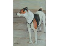 equestrian note cards, Jack Russell Terrier, terrier note cards, dog note cards, equestrian accessor