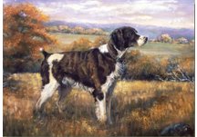 equestrian note cards, equestrian accessories, hound note cards, hunting note cards