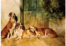 equestrian note cards, equestrian accessories, hound note cards, hound, foxhunting