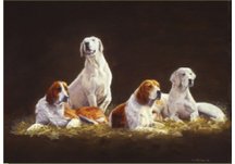 equestrian note cards, hound note cards, foxhunting, equestrian accessories