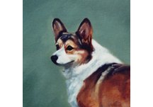 napkins, dog napkins, hand napkins