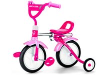 Radio Flyer Girls Grow 'N Go Bike