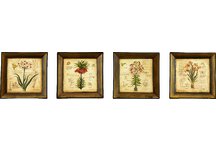 Yellow Iris Plates - Set of Four