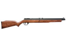 Benjamin Air Rifle