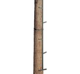 Big Dog Tree Stand Stik Ladder