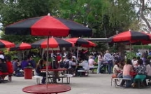 black/red Patio Umbrellas