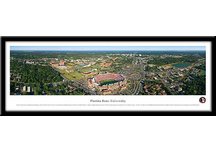 Florida State University Stadium Print