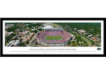 Unviersity of Florida Gators Stadium Print