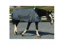 Equestrian Equipment