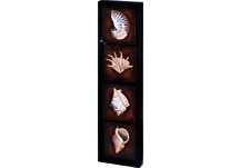 Framed Seashell Wall Art