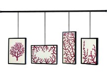 Coral Reef Wall Art