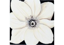 Magnolia Wall Plaque