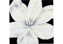 Hibiscus Wall Plaque