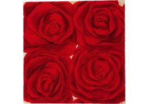 Painted Red Roses II