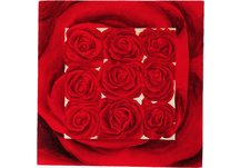 Painted Red Roses IV