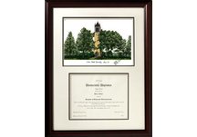 Iowa State University Scholar