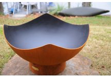 Manta Ray